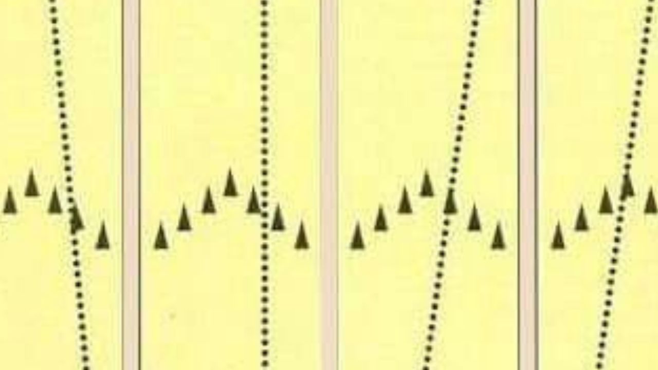 Bowling Lane Layout Diagram